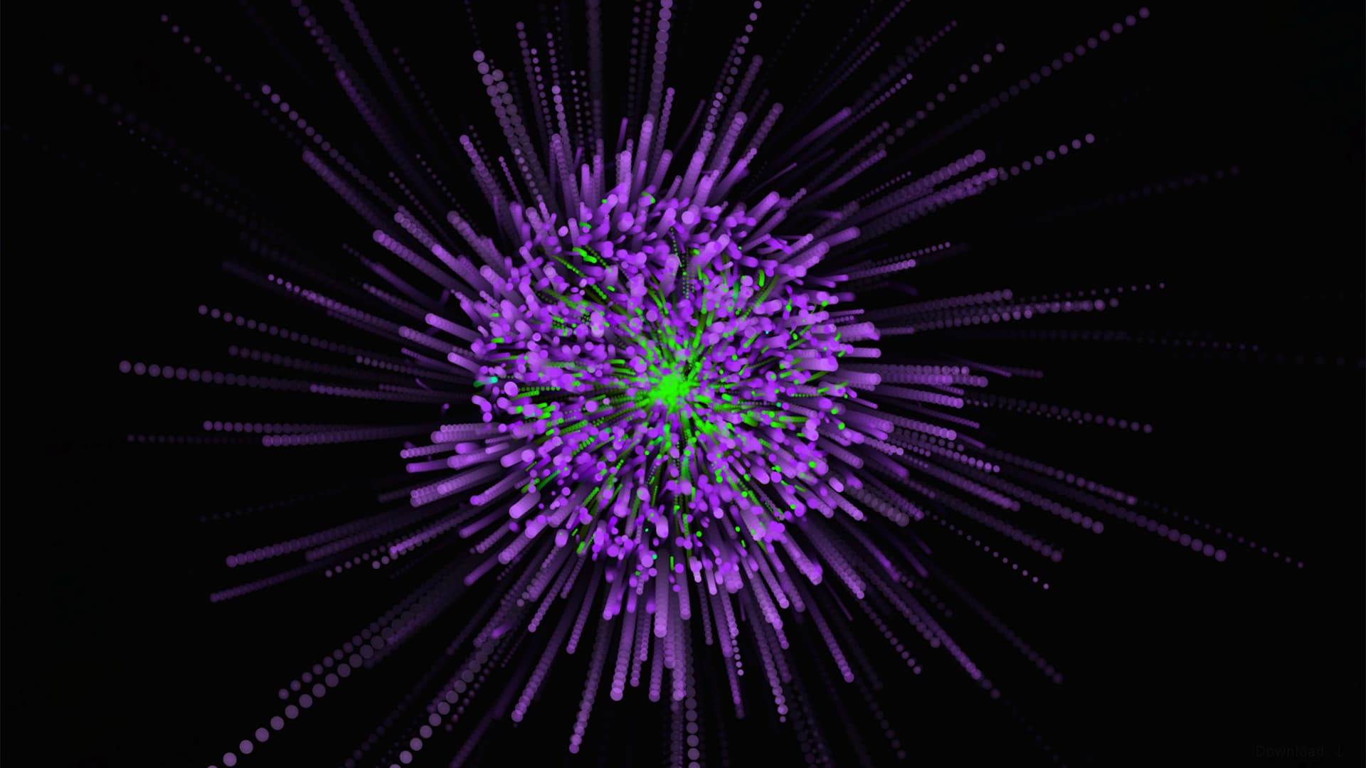 Audio Visualizer